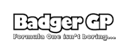 BadgerGP